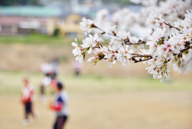 春に始めるスポーツ 運動といえば スポーツの服装におススメコーデ 四季を彩る春夏秋冬の情報を紹介するブログ