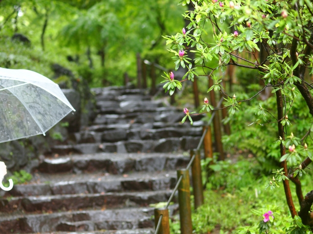 青柏祭2019は雨でも開催？雨天中止？開催日の石川県七尾市の天気予報に注意