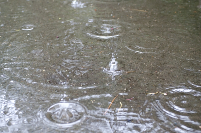 酉の市大阪は雨でも開催？雨天時中止？大阪大鳥神社の天気予報に注意
