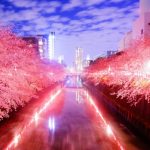 目黒川の桜2020おススメ花見場所や夜桜ライトアップ時間、屋台露店情報
