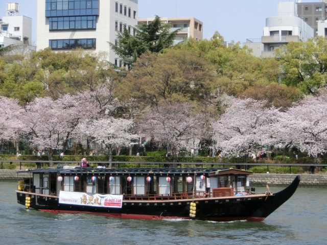 目黒川の桜花見で宴会、デートにクルーズ、屋形船、遊覧船は？感想、評価